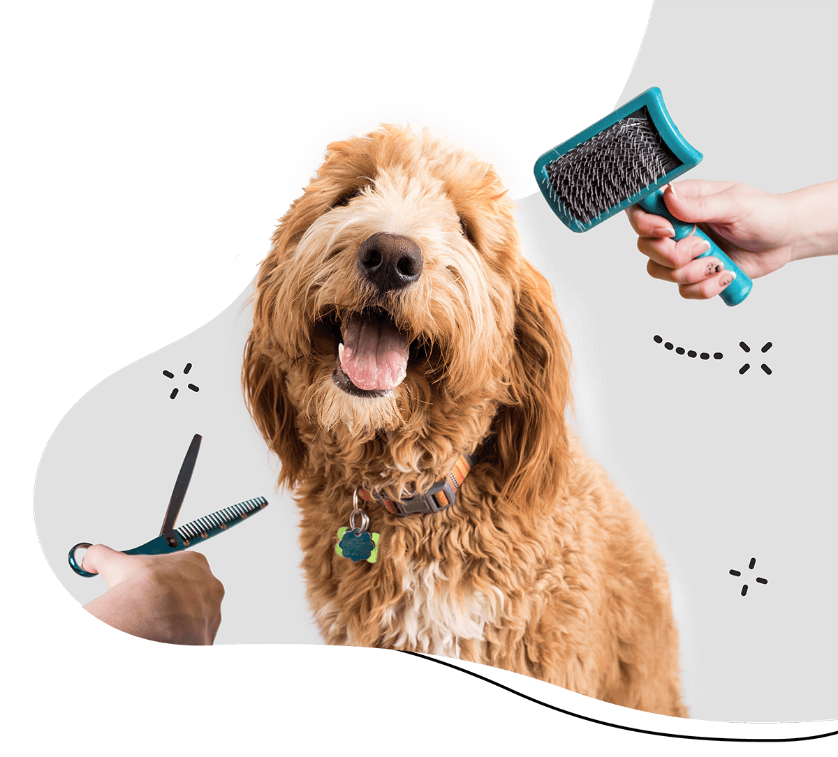 https://silkpaws.gr/wp-content/uploads/2019/08/hero_home_3.png