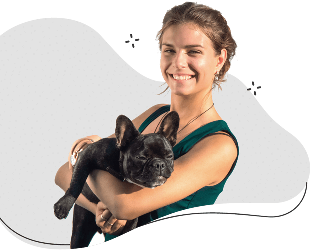 https://silkpaws.gr/wp-content/uploads/2019/08/hero_image_13.png